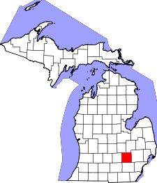 Michigan Map showing Livingston County