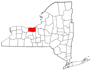 New York Map showing Wayne County