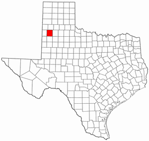 Texas Map showing Lamb County