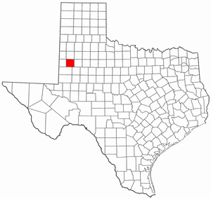 Texas Map showing Terry County